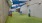 private pet park with walls surrounding